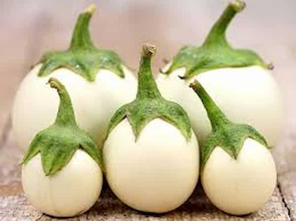 تصویر 1 از خرید و قیمت بادمجان سفیدعراقی + فروش عمده